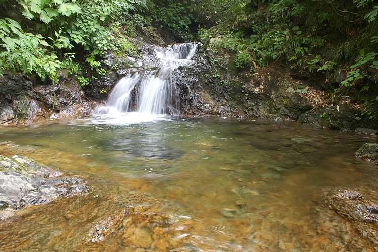 IMGP5416.jpg