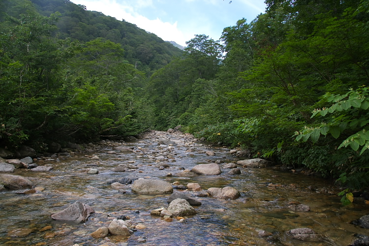 IMGP5431.jpg - 宝川、広河原付近