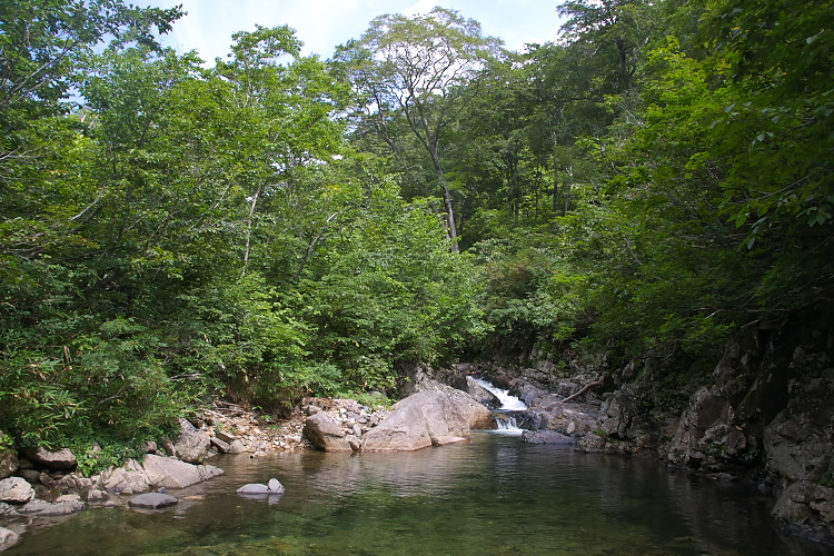 IMGP5438.jpg