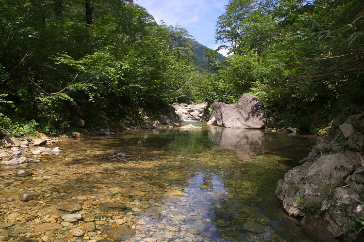 IMGP5440.jpg