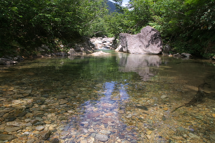 IMGP5441.jpg