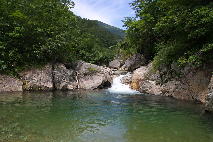 IMGP5446.jpg