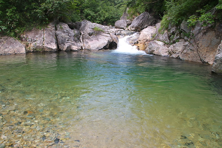 IMGP5447.jpg