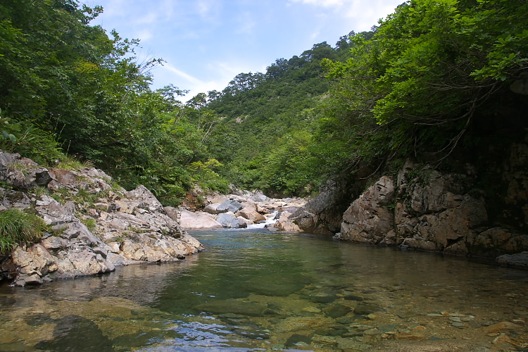 IMGP5450.jpg