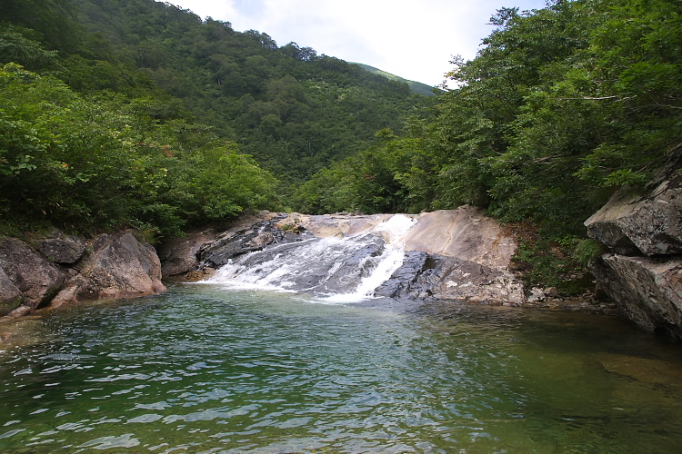 IMGP5460.jpg
