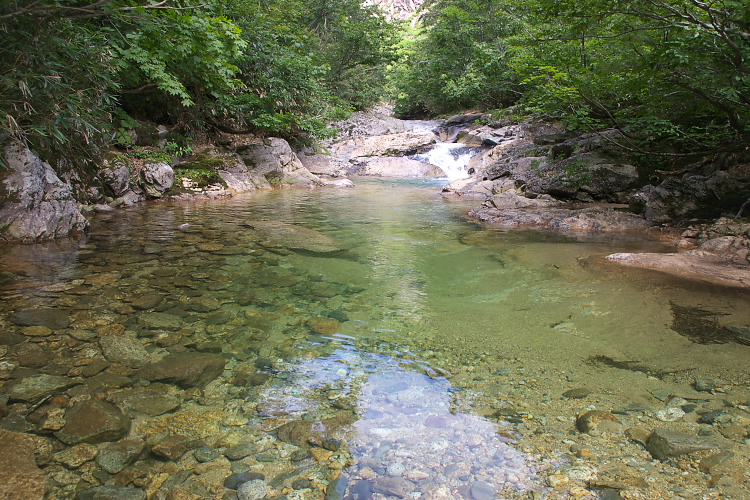 IMGP5476.jpg