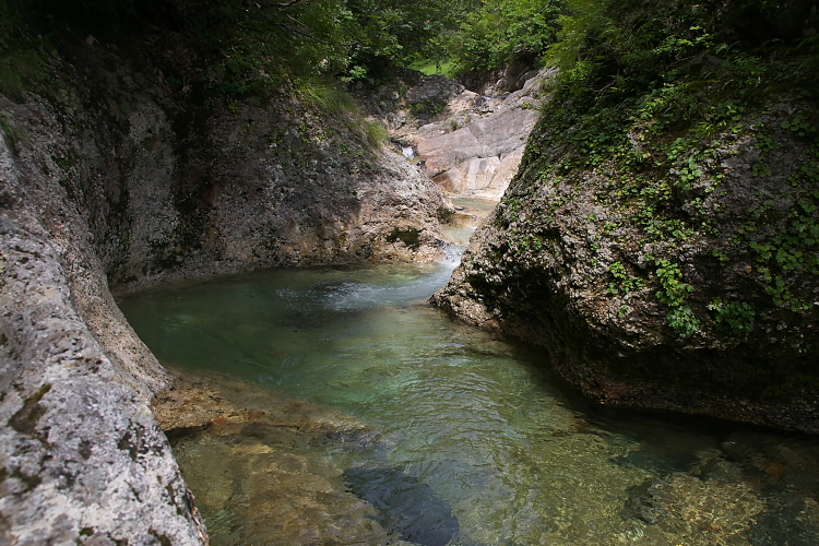 IMGP5488.jpg