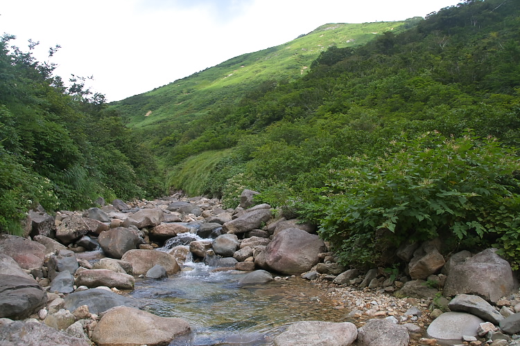 IMGP5515.jpg