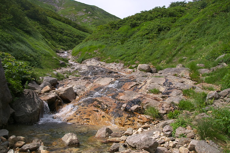 IMGP5522.jpg