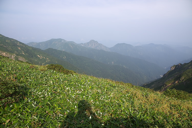 IMGP5599.jpg
