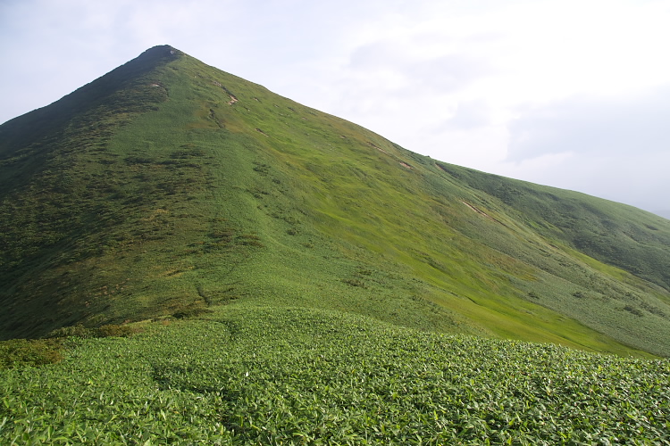IMGP5600.jpg - 大烏帽子山