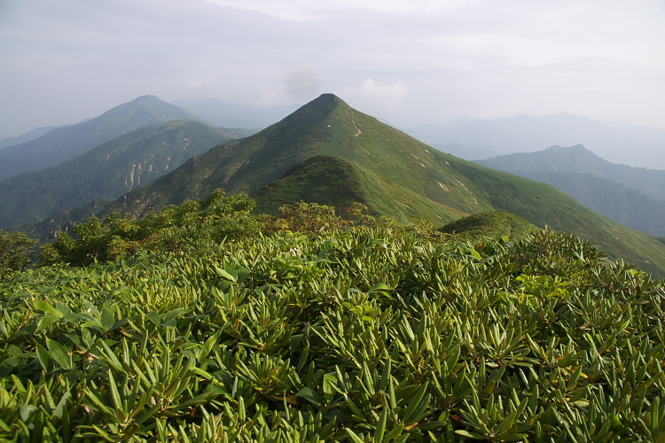 IMGP5612.jpg - 地蔵の頭（越後烏帽子）から大烏帽子山