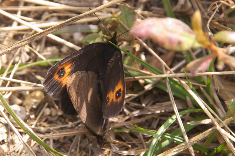 IMGP5647.jpg