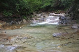 IMGP5260