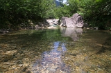 IMGP5441