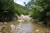 IMGP5443