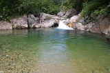 IMGP5445