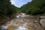 IMGP5452