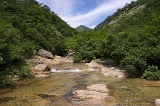 IMGP5467