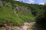 IMGP5480