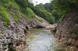 IMGP5485