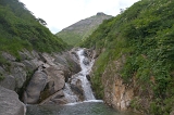 IMGP5517