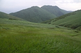 IMGP5589