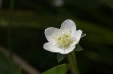 IMGP5639