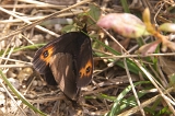 IMGP5647