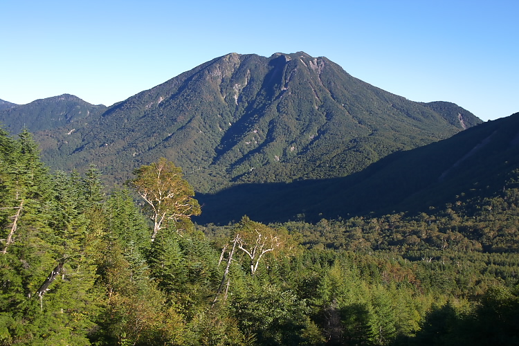 IMGP5837.jpg - 太郎山