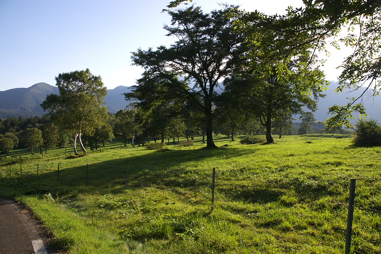 IMGP5996.jpg - 笹ヶ峰牧場
