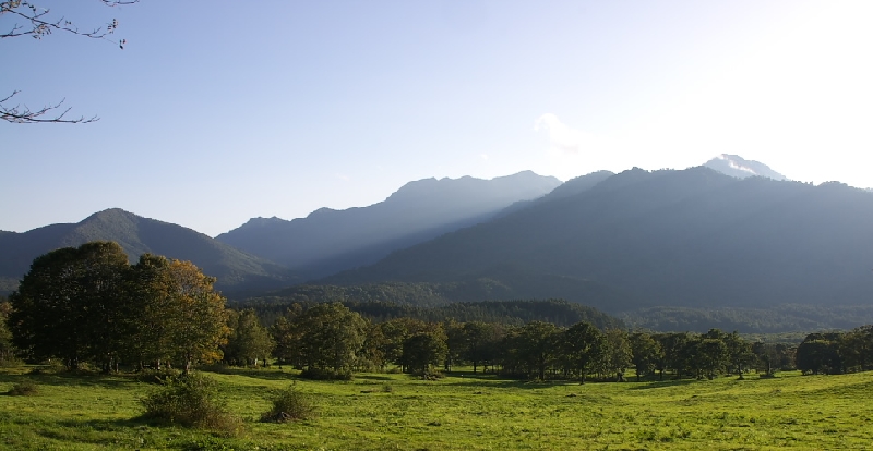 IMGP60111.jpg - 笹ヶ峰牧場