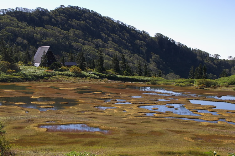 IMGP6096.jpg - 高谷池