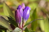 IMGP6069