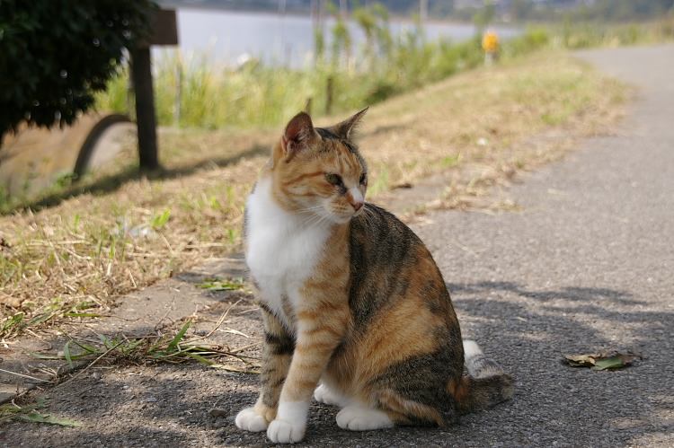 IMGP6450.jpg