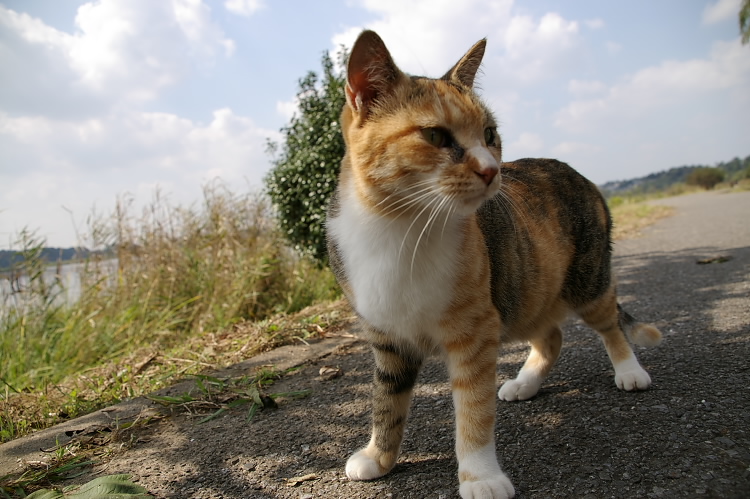 IMGP6452.jpg