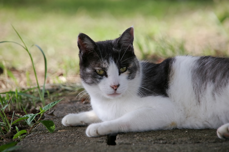 IMGP6469.jpg