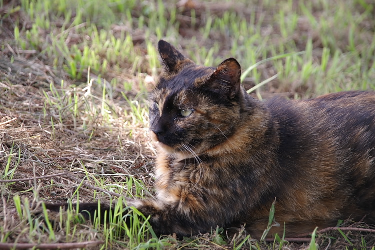 IMGP6482.jpg