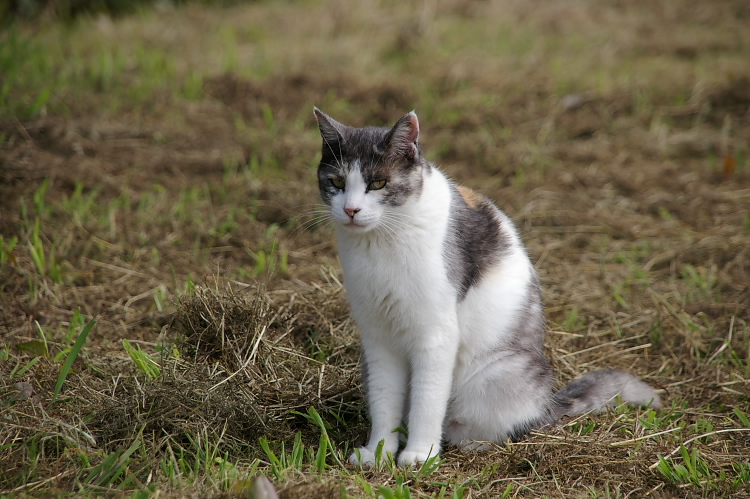 IMGP6511.jpg