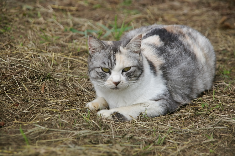 IMGP6516.jpg