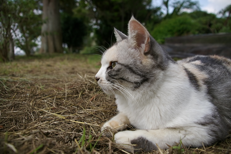 IMGP6548.jpg