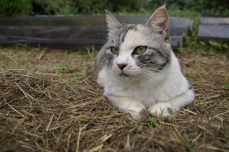 IMGP6555.jpg