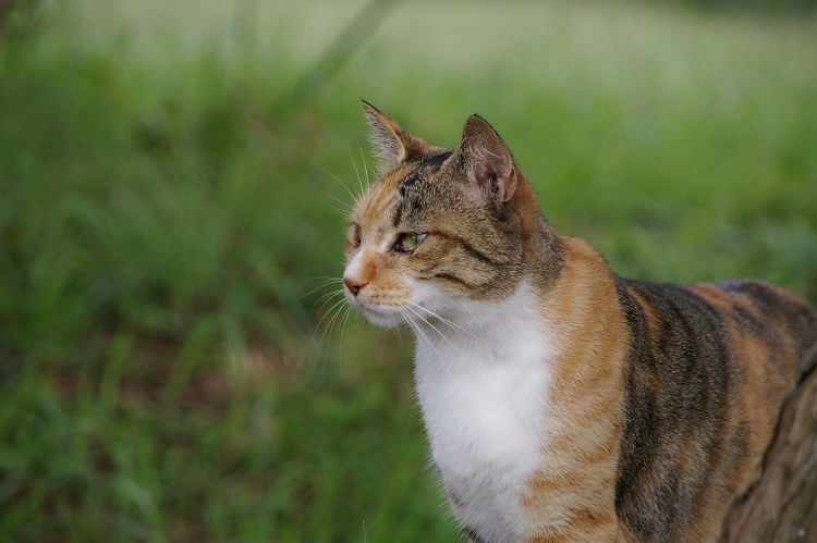 IMGP6562.jpg