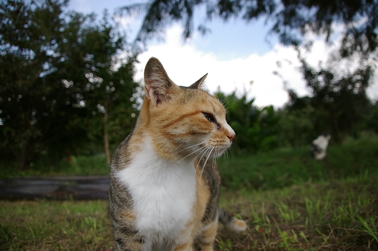 IMGP6567.jpg