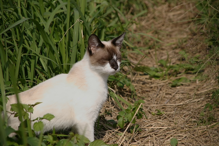 IMGP6579.jpg
