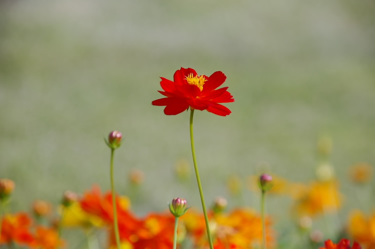 IMGP6613.jpg