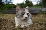 IMGP6539