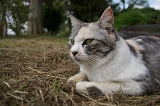IMGP6551
