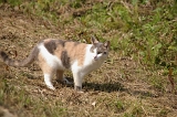 IMGP6583