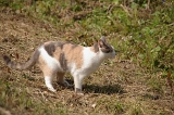 IMGP6584